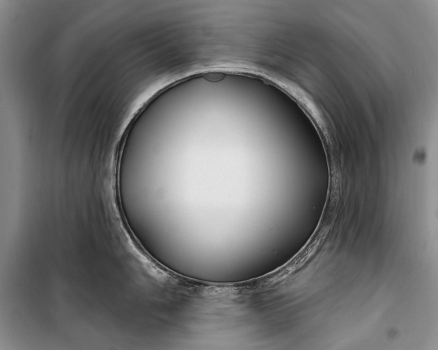 X0000100211006200806131248