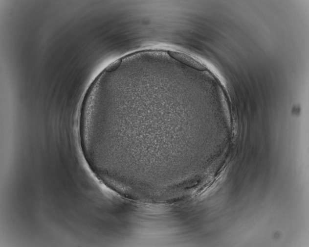 X0000100211007200806131248