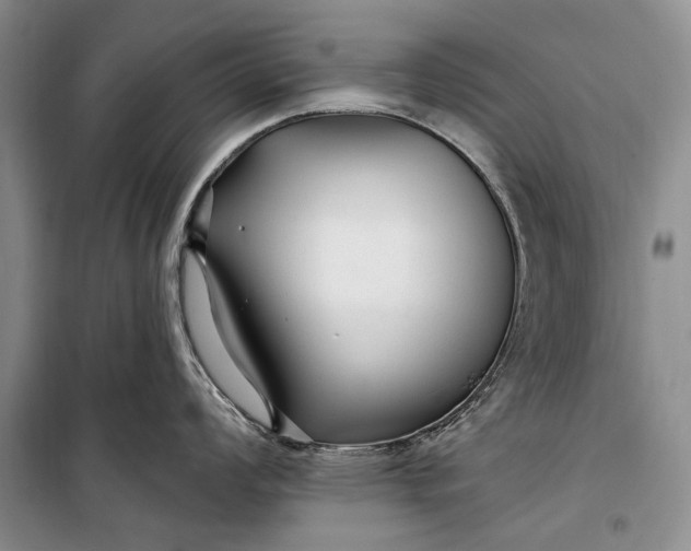 X0000100211008200806131248