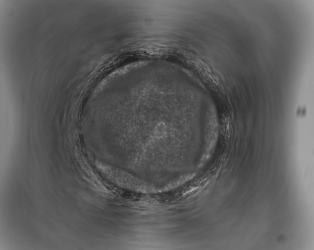 X0000100211009200806131247