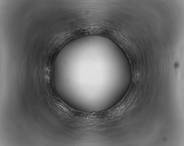 X0000100211010200806131247