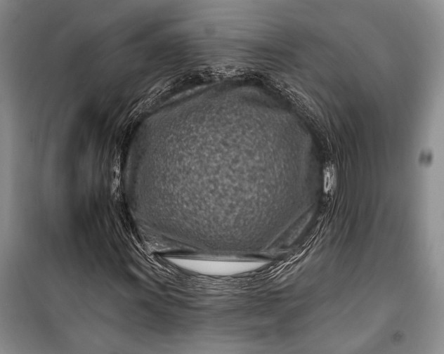 X0000100211011200806131247