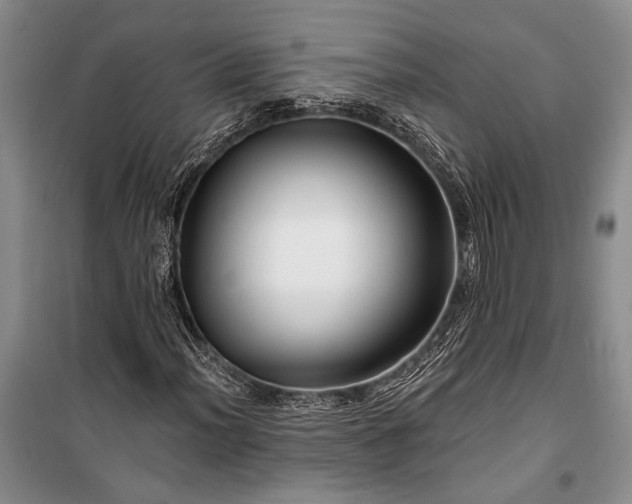 X0000100211012200806131247