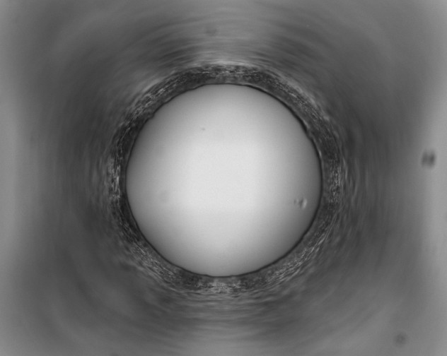 X0000100211013200806131247