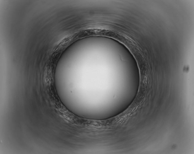 X0000100211014200806131247