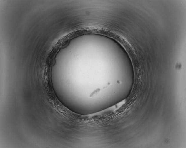 X0000100211016200806131247