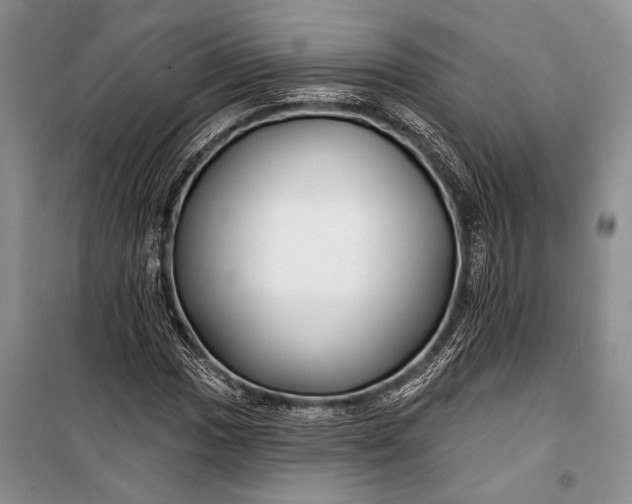 X0000100211017200806131247