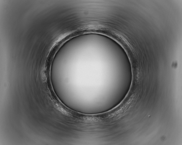 X0000100211018200806131247