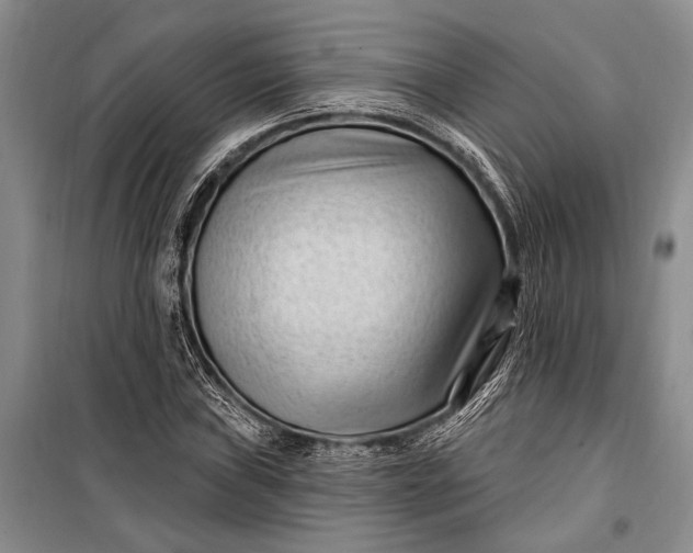 X0000100211019200806131247