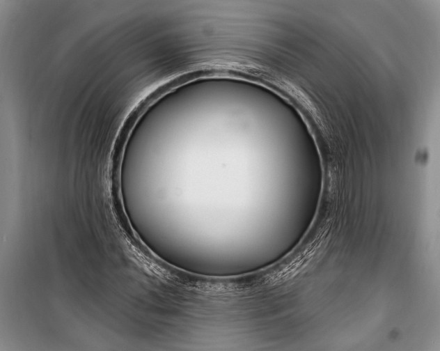 X0000100211020200806131247