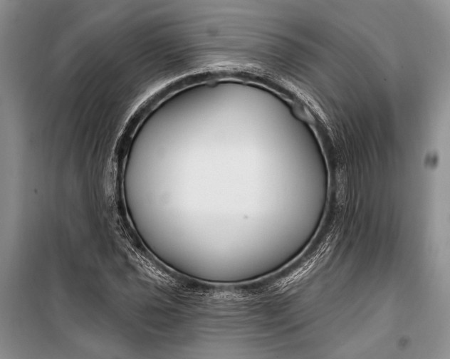 X0000100211021200806131247