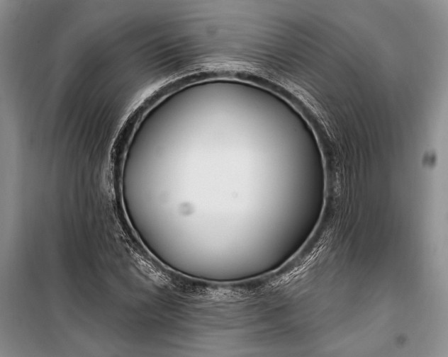 X0000100211022200806131247