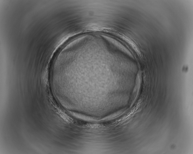 X0000100211023200806131247