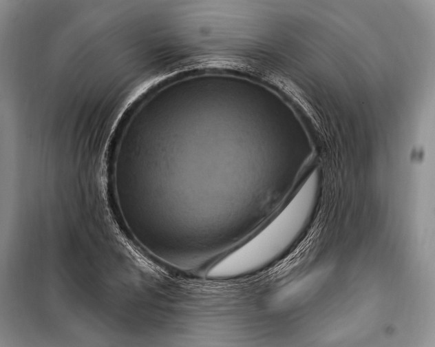 X0000100211024200806131247