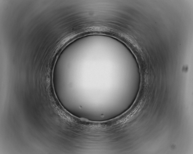 X0000100211025200806131247