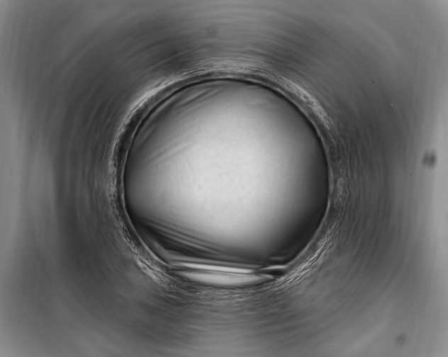 X0000100211027200806131247