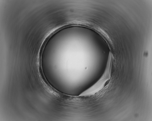 X0000100211028200806131247