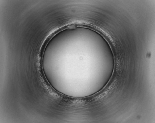 X0000100211029200806131247