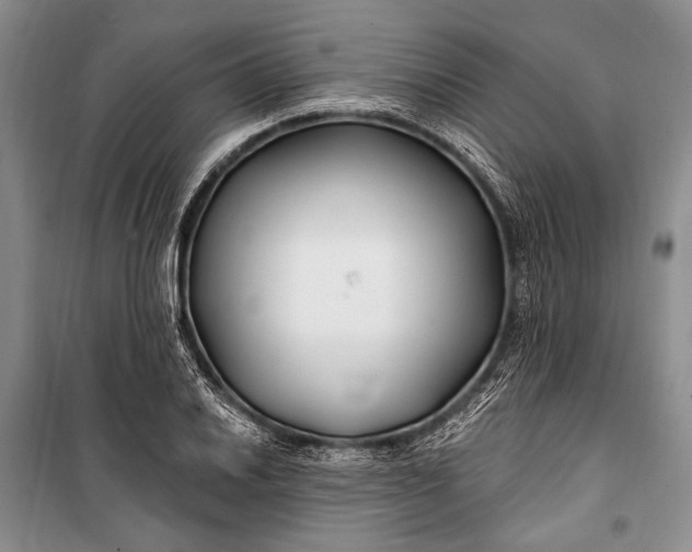 X0000100211030200806131247