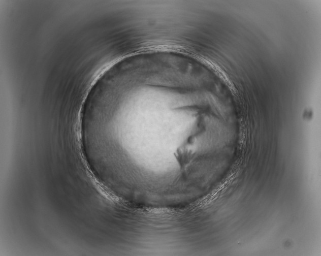 X0000100211031200806131247