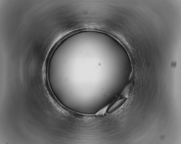 X0000100211032200806131247