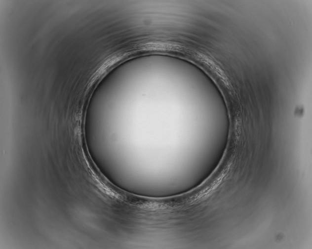 X0000100211033200806131247