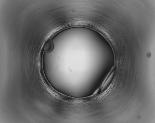 X0000100211034200806131248