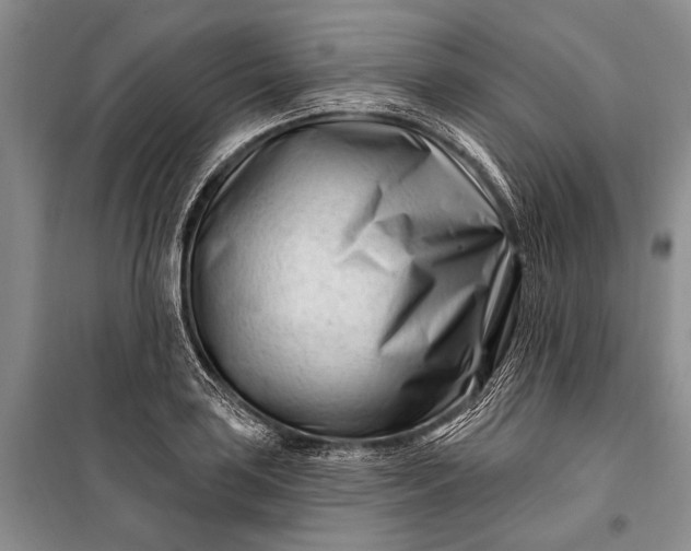 X0000100211035200806131248