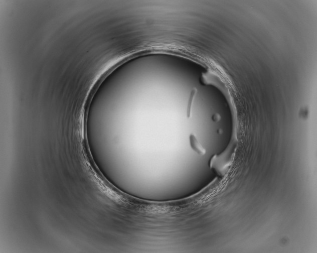 X0000100211036200806131248