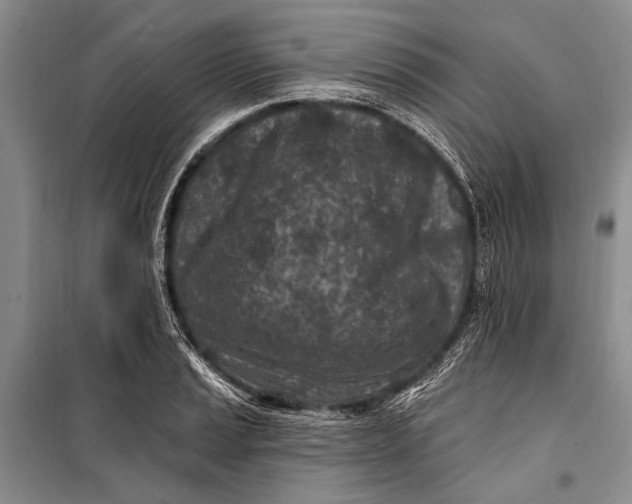 X0000100211037200806131248