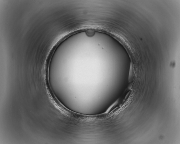 X0000100211038200806131248