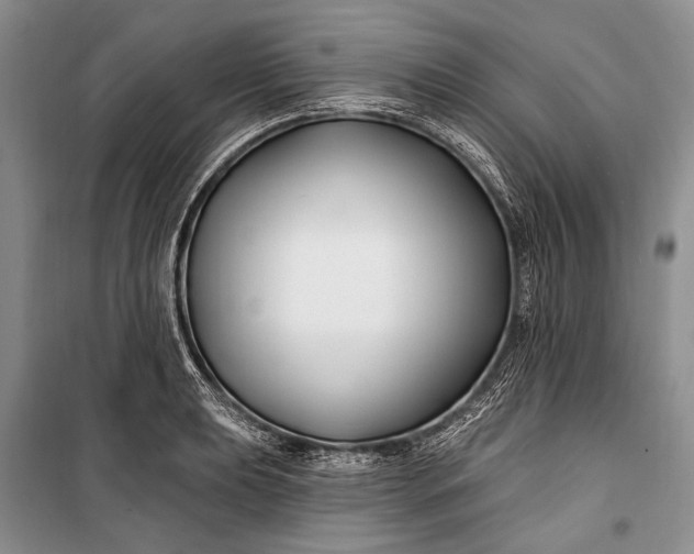 X0000100211039200806131248