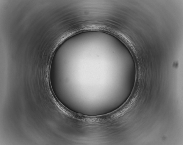 X0000100211041200806131248