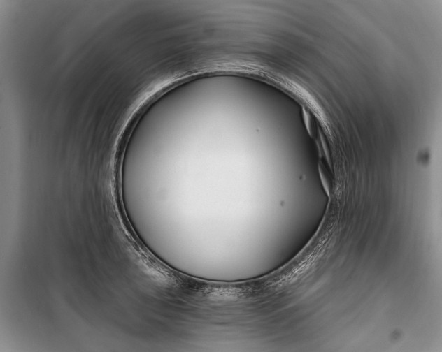 X0000100211043200806131248