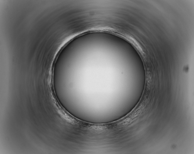 X0000100211044200806131248