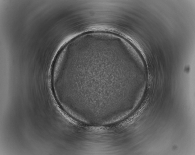 X0000100211045200806131248