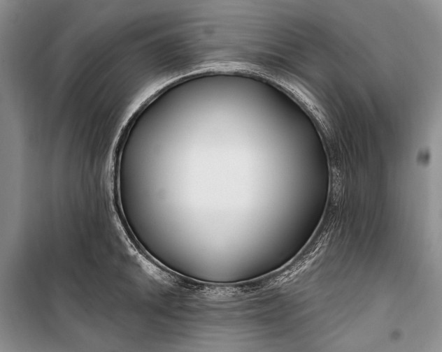 X0000100211046200806131248