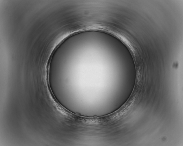 X0000100211047200806131248