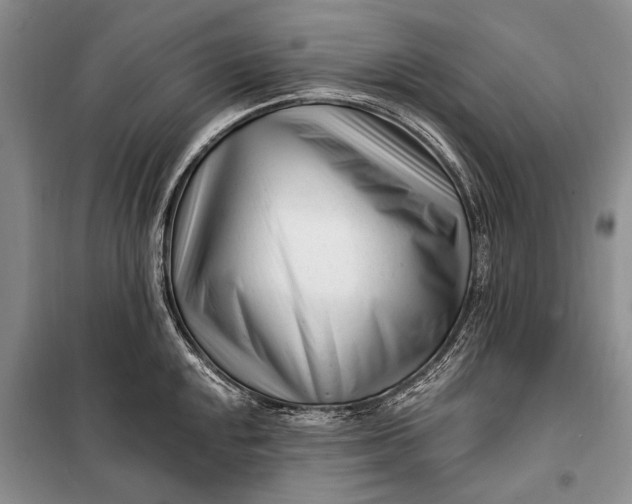 X0000100211048200806131248