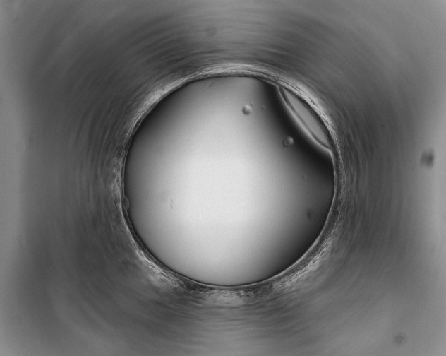 X0000100211049200806131248