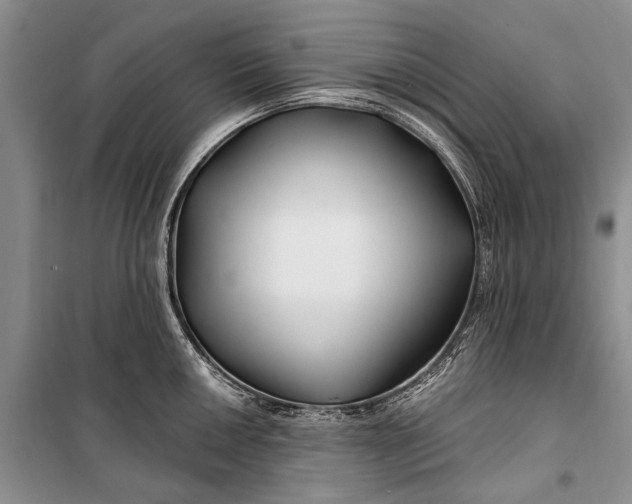 X0000100211050200806131248