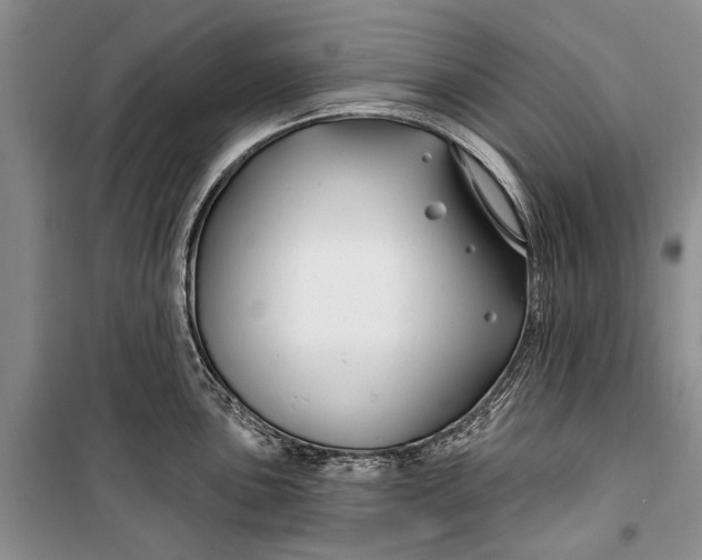 X0000100211051200806131248