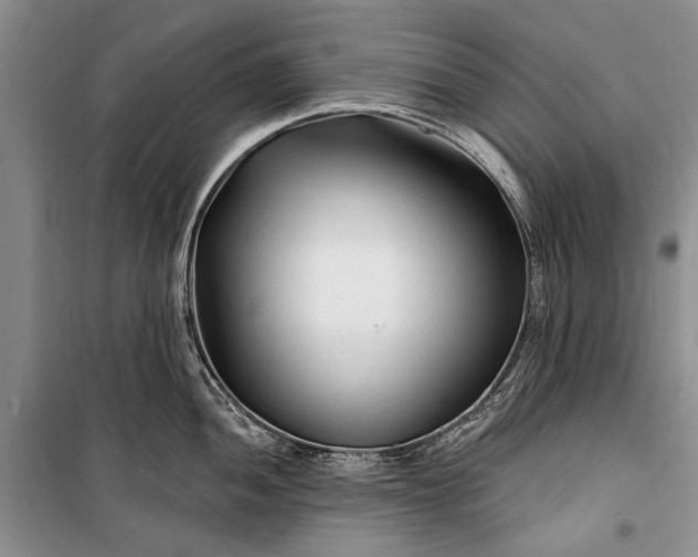 X0000100211052200806131248