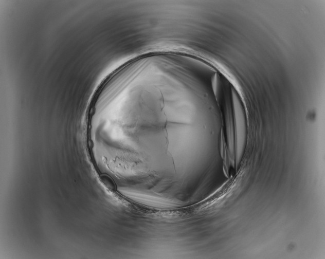 X0000100211053200806131248