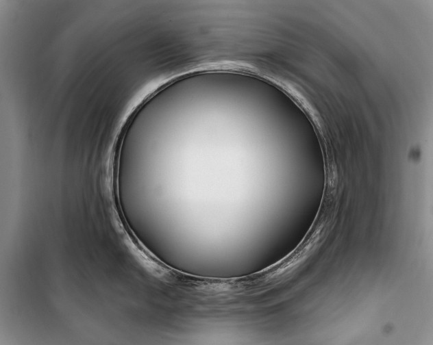 X0000100211054200806131248