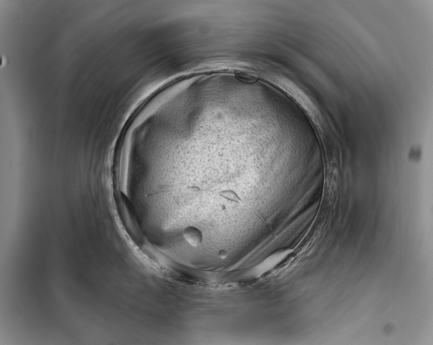 X0000100211055200806131248