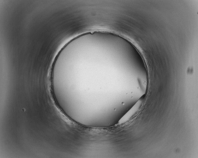 X0000100211056200806131248