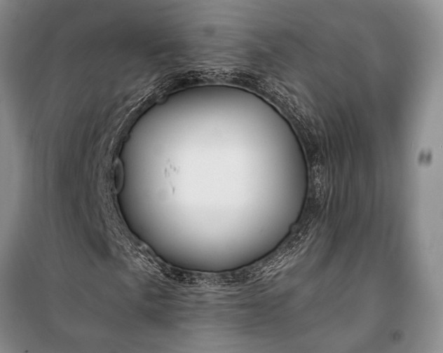 X0000100211057200806131247