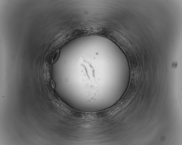 X0000100211058200806131247