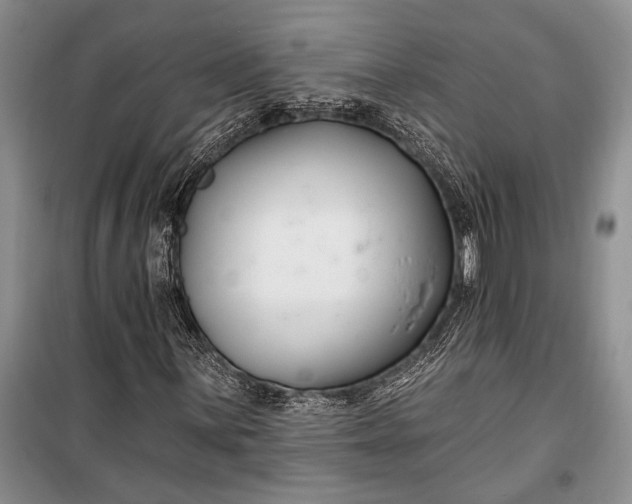 X0000100211059200806131247